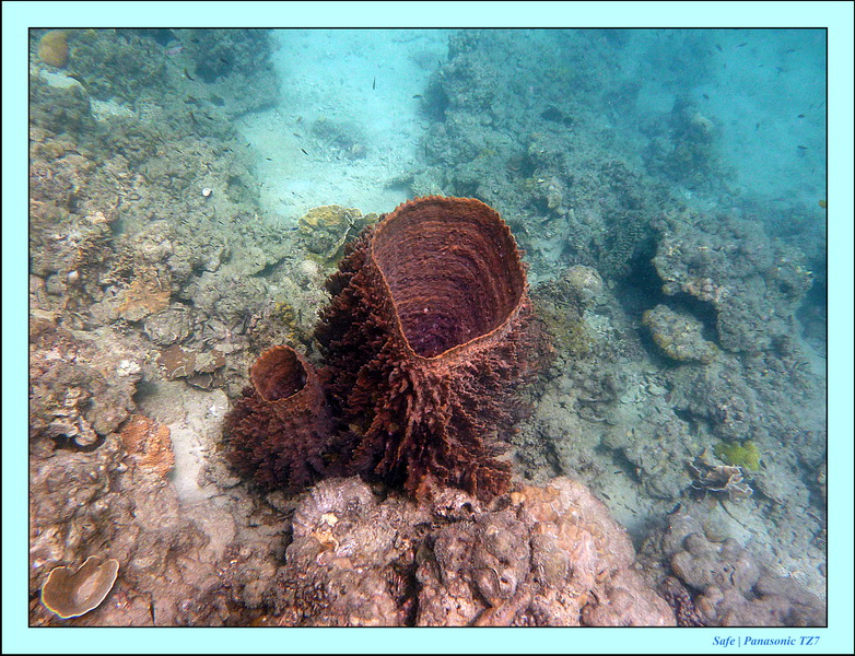 2011 - 03 - Koh Kradan 046